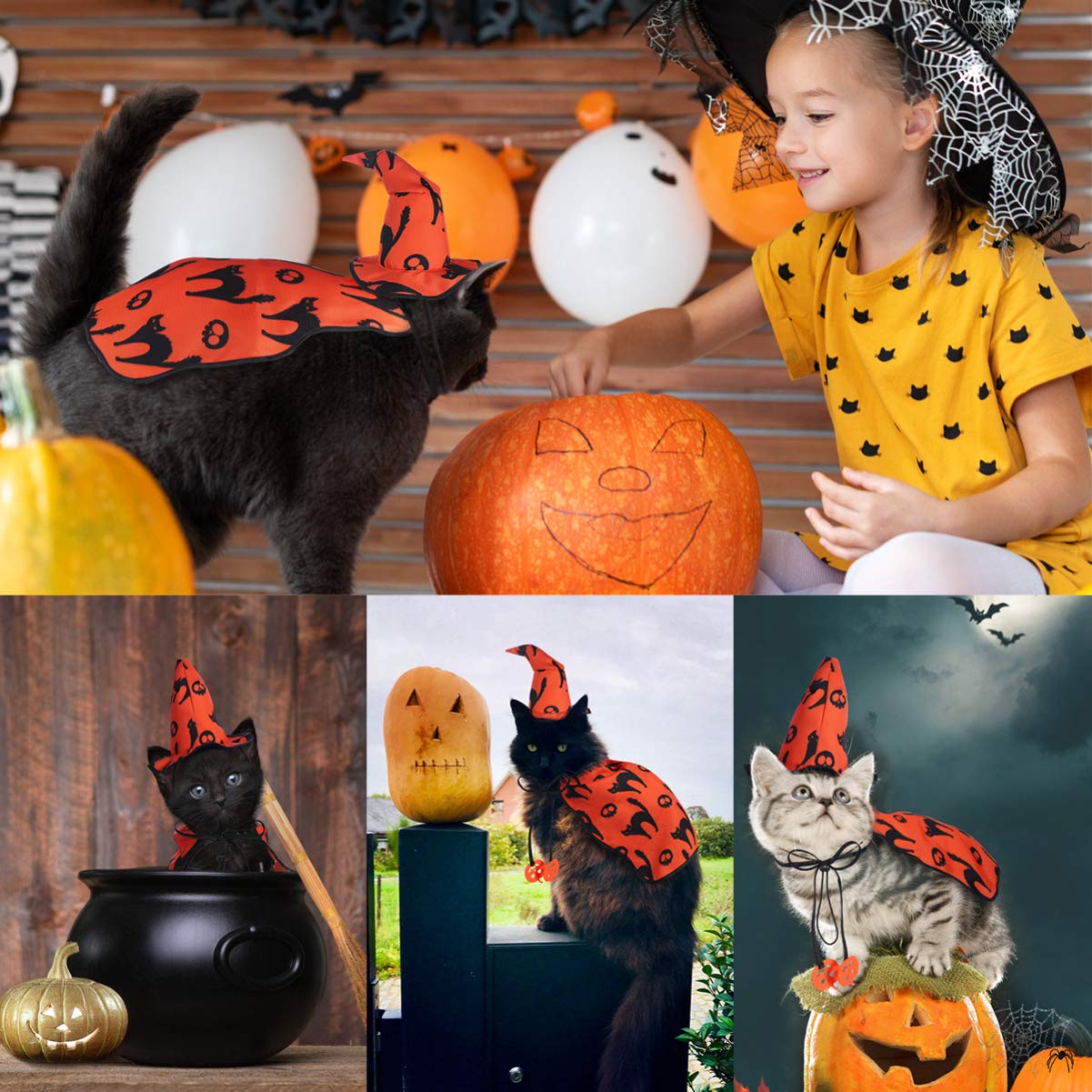 Hund Halloween Kostüm Zauberer - Hexen Umhang Mit Hut Für Haustiere