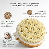 Vista 4 de Cepillo corporal grande de cepillado en seco, cepillo de cerdas de jabalí natural para drenaje linfático, celulitis, circulación sanguínea, nodos