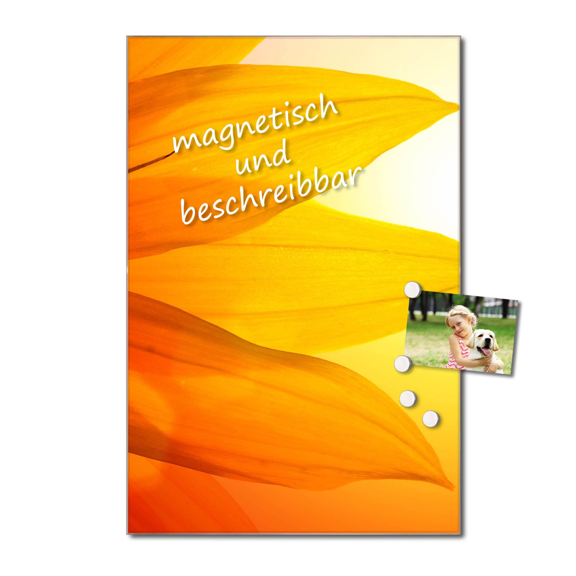 banjado Magnettafel aus Glas 40x60, Blumenmotiv, beschreibbar