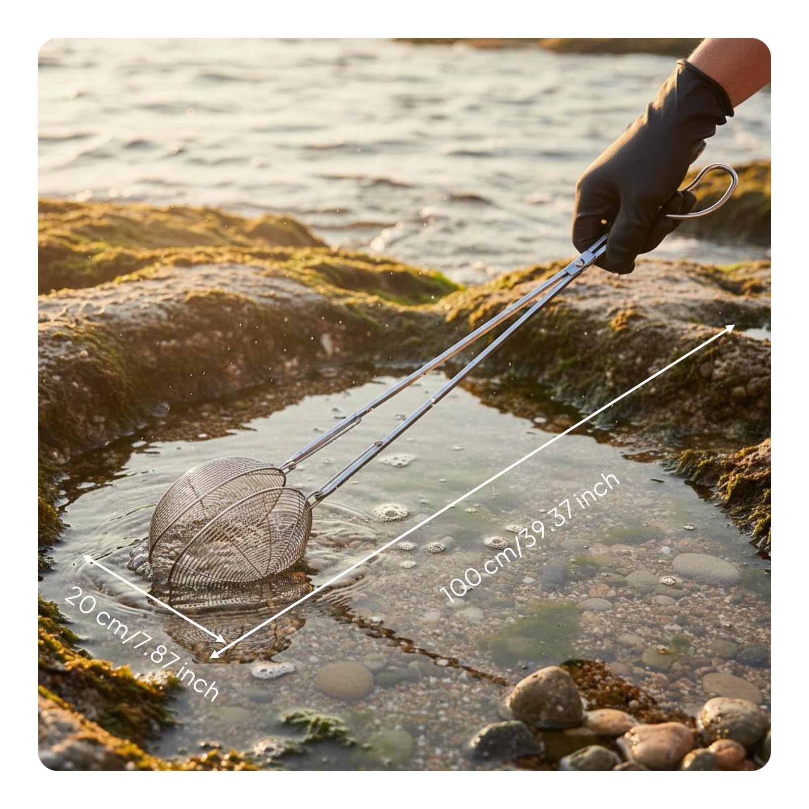 Almencla Stainless Steel Grabber Krabbenzange Muschelgreifer Meeresfrüchtezange Edelstahlkäfig Rutschfester Gitterkorb Langer Griff Ergonomischer Halt für Strandfischen Flussufer Watt Und Boot