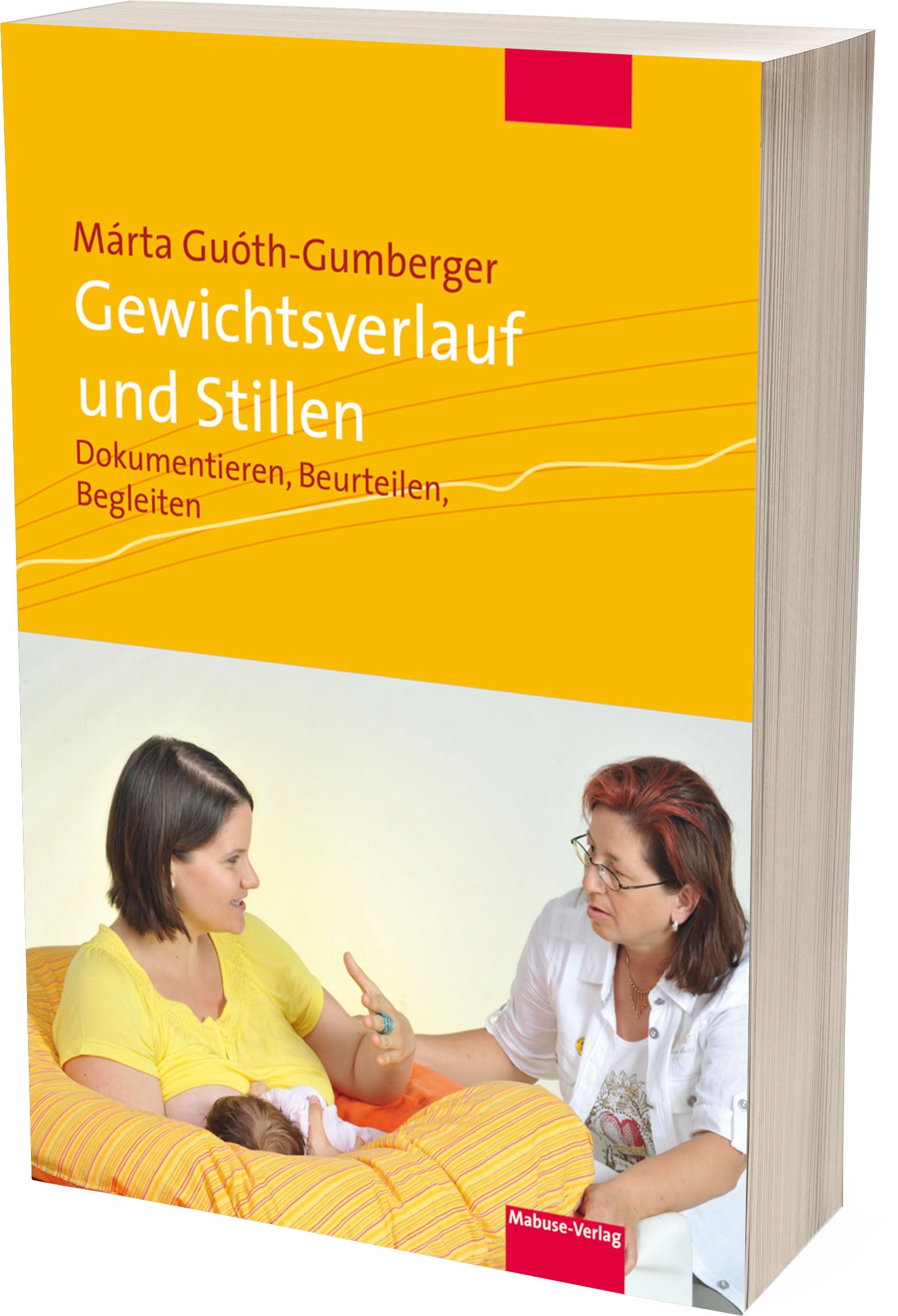 Gewichtsverlauf und Stillen. Dokumentieren, Beurteilen, Begleiten. Mit Arbeitshilfe STILLDOK im Download (Bücher für Hebammen, Band 8)