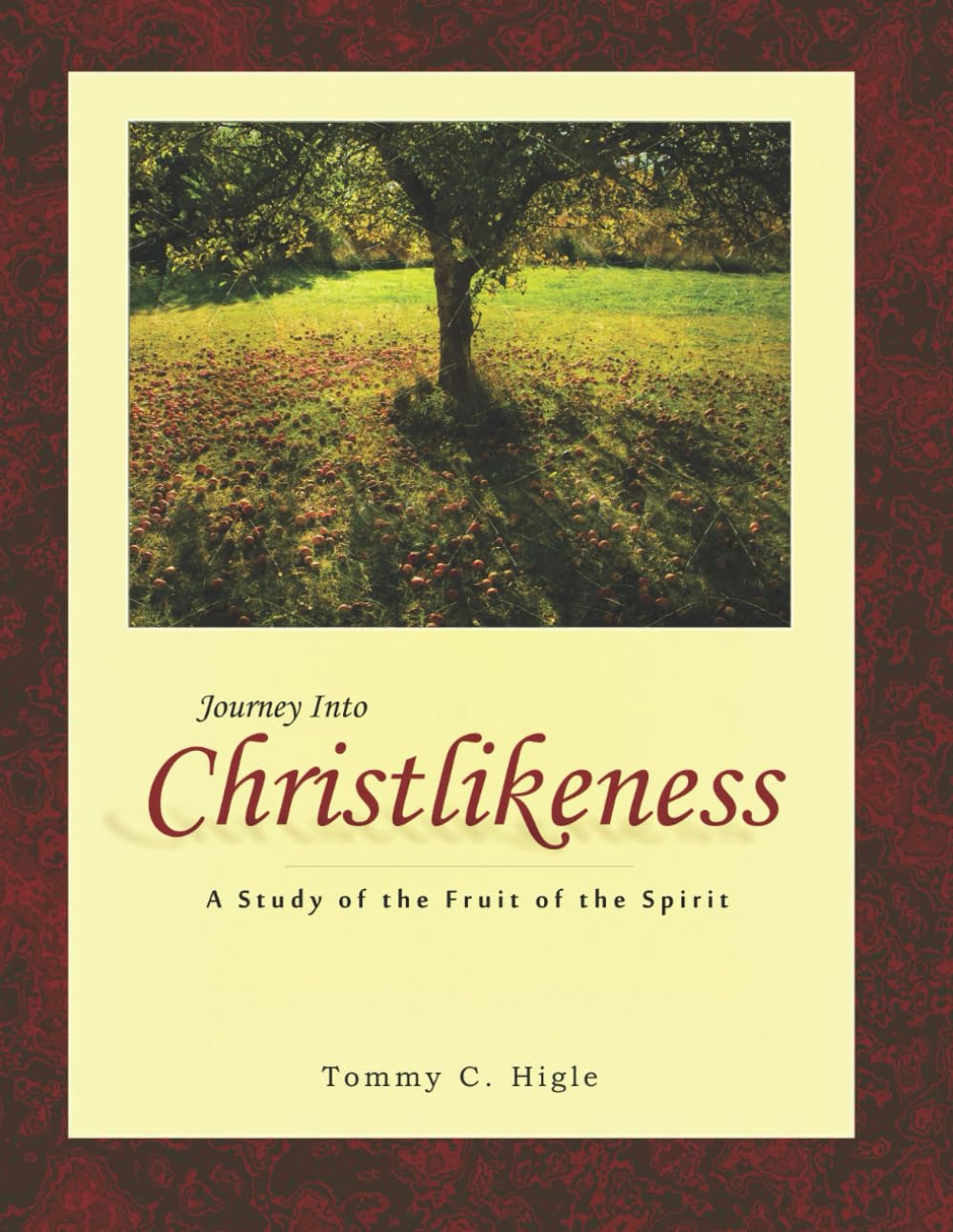 Journey Into Christlikeness (NIV® Edition): A Study of the Fruit of the Spirit (The Journey Series® Bible Studies for ESV® and NIV® Translations)