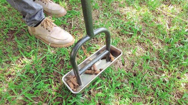 BeneLabel Aérateur De Gazon Manuel 93cm - Scarificateur 4 Dents Acier Inoxydable Avec Plateau