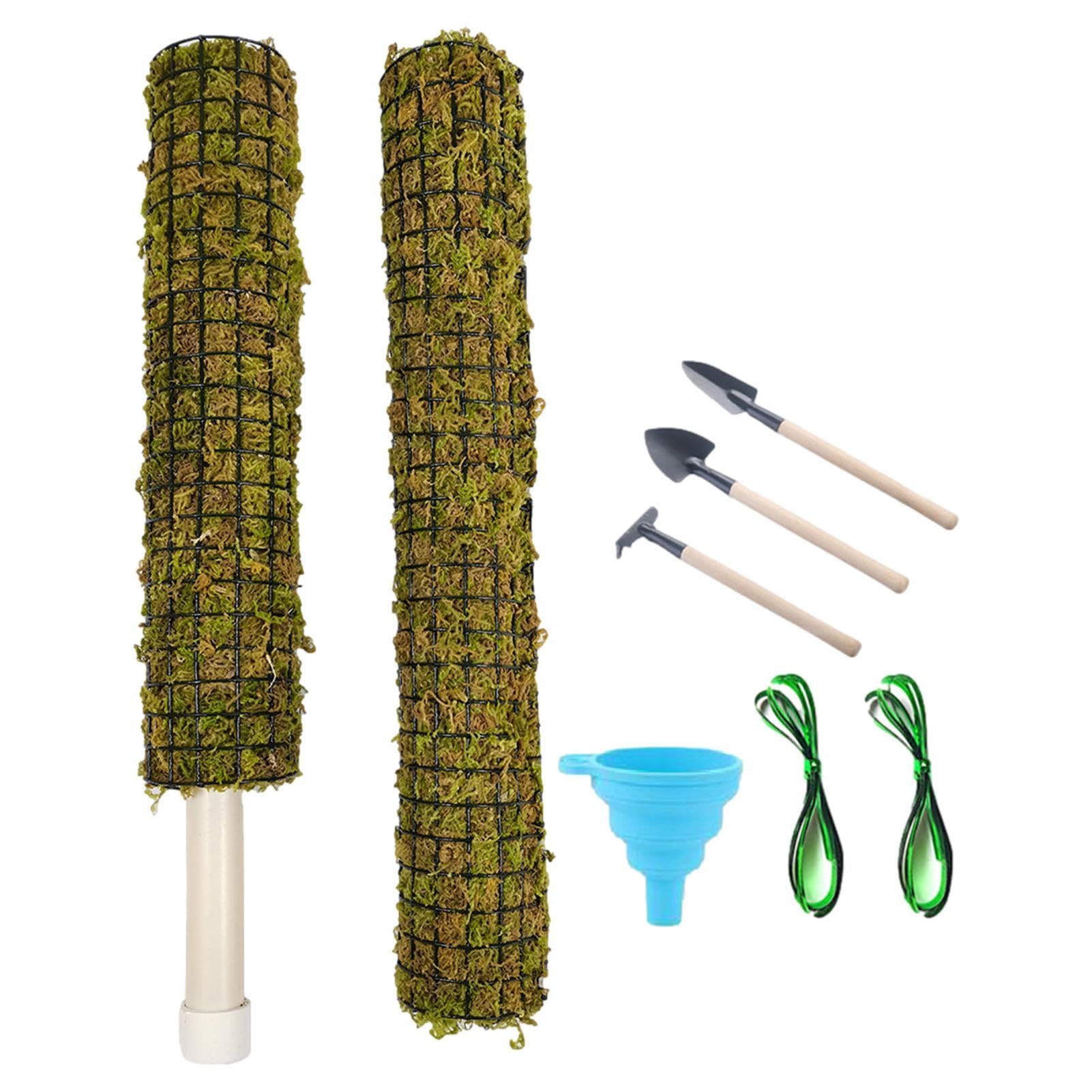 Tutores para Plantas | Estacas para Plantas Trepadoras | Tótem Musgo Poste Musgo Musgo Sphagnum Apilable Tutores con Autorriego para Sostener Plantas de Interior