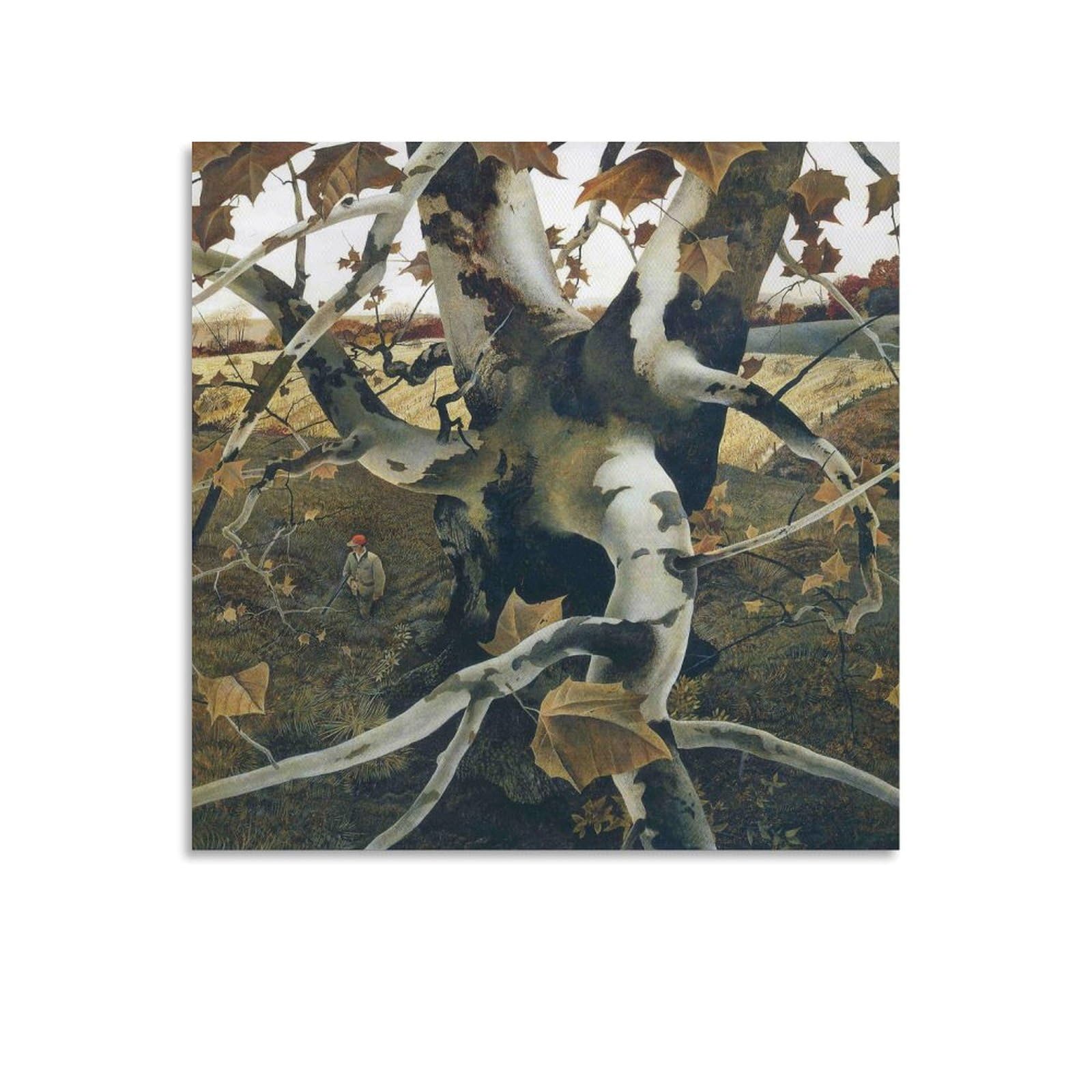 Amazon.co.jp: Andrew Wyethアンドリュー・ワイエス《りょうし》偉大な