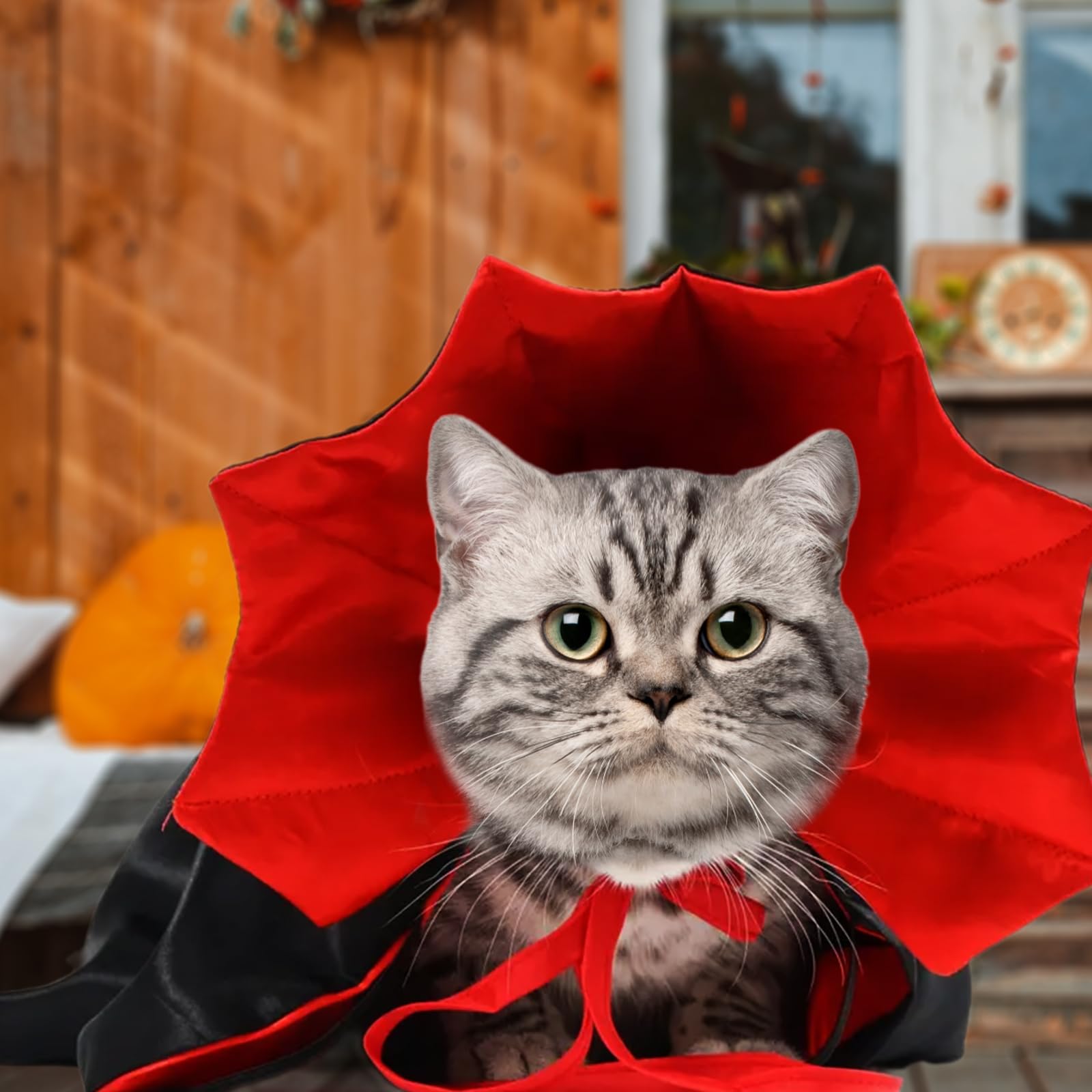 SAIIURV 2 Pcs Pet Cape for Small Dogs and Cats Funny Halloween Cat Vampire Cape, Adjustable Strap - Image 4