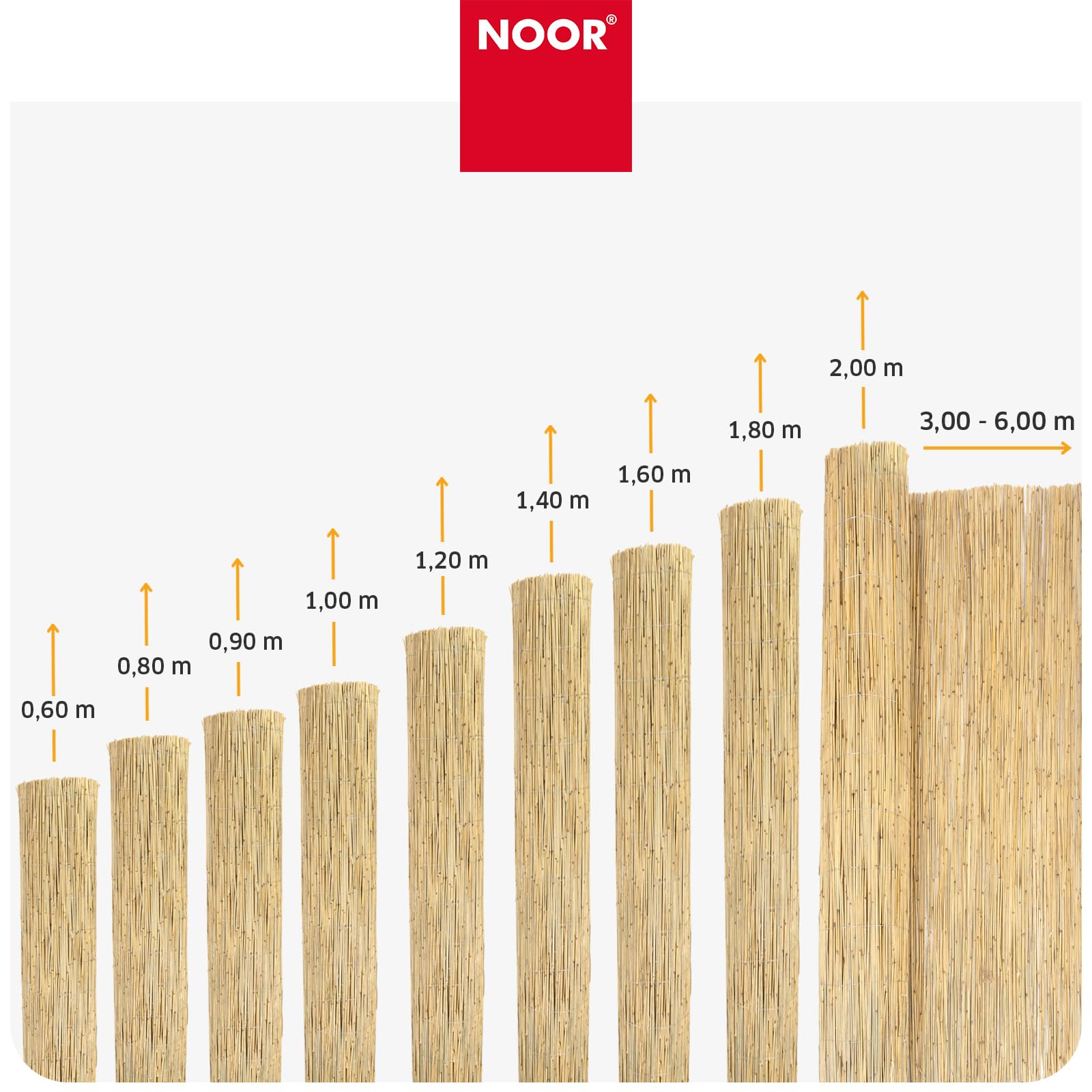 NOOR Panneau Brise-Vue en Roseau St. Tropez - 60 cm x 6 m - Naturel | Brise-vue en roseau pour balcon, terrasse et jardin - résistant aux intempéries à fixer sur une clôture - plus d'intimité