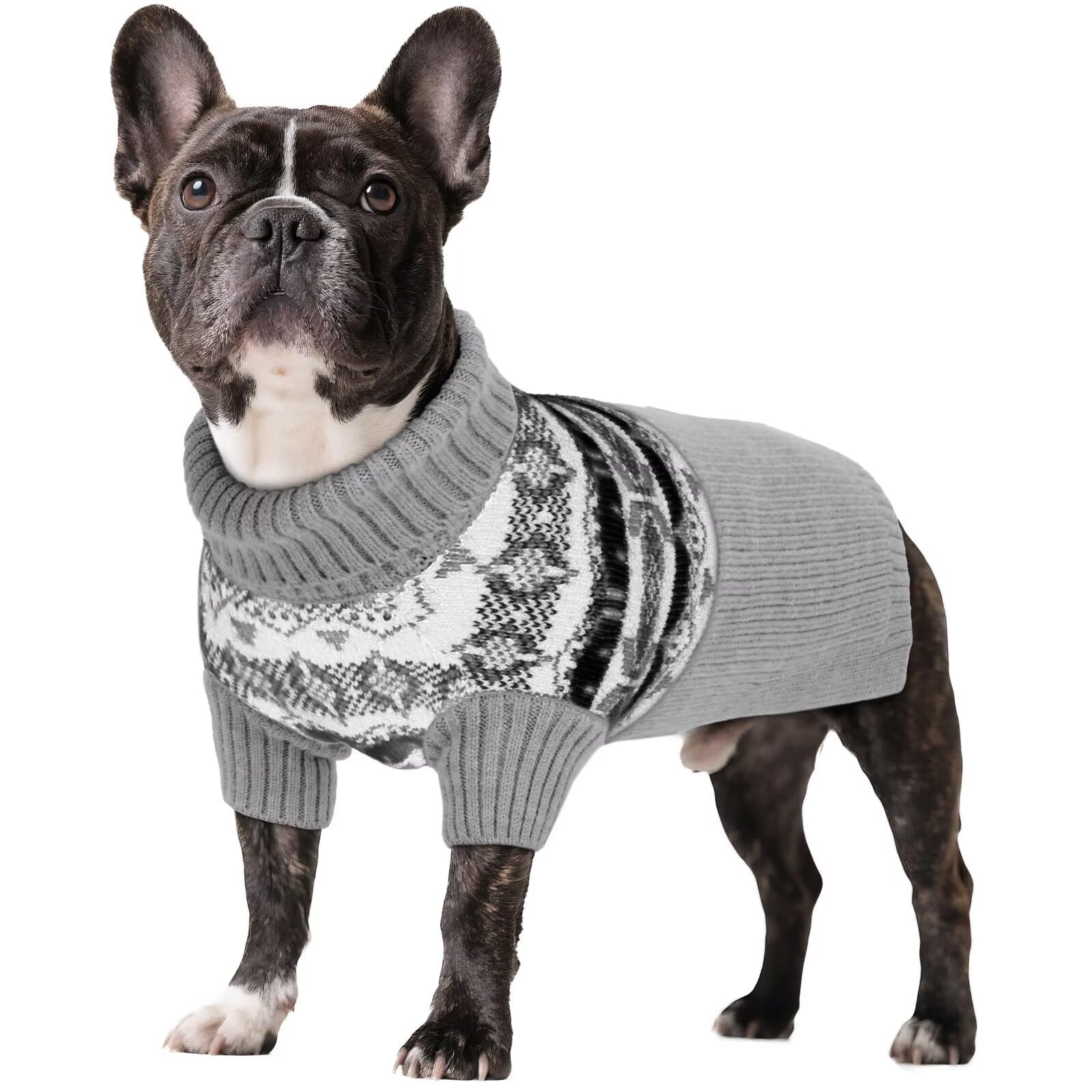 Pull pour chien idéal pour les balades de Noël et Halloween