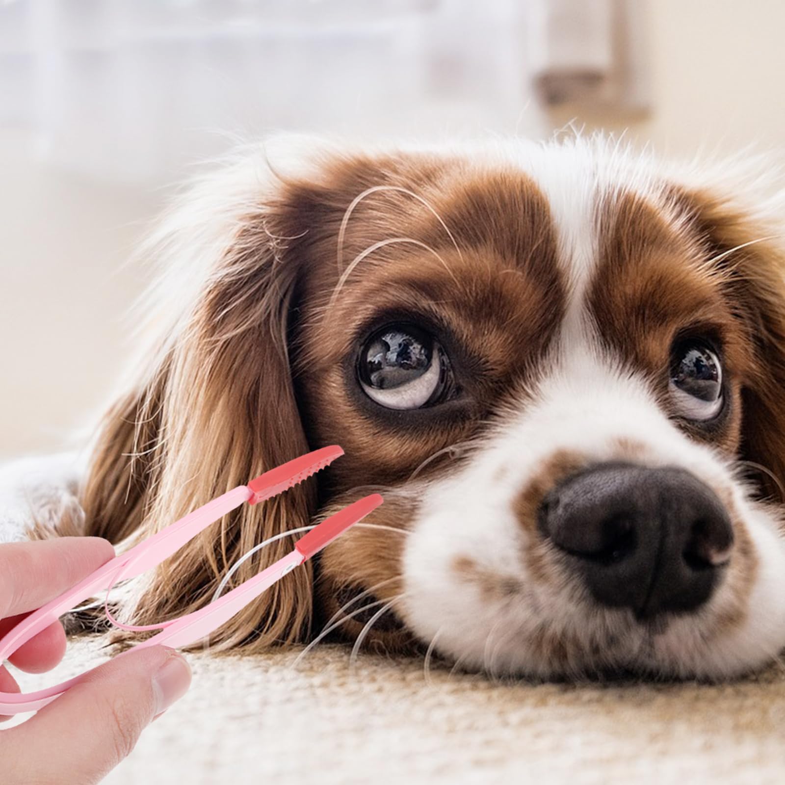 Pet Tear Stain Remover Brush Dog Eye Cleaning Comb Pet Grooming Brush Soft Washable Tear Marks Remover Eye Care Grooming Supplies - Image 3