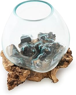 BAGUS Home DCOR Glass Aquarium on Natural Driftwood - Elegant Handcrafted Tabletop Decor with Elevated Design Perfect for Home & Office (Large)