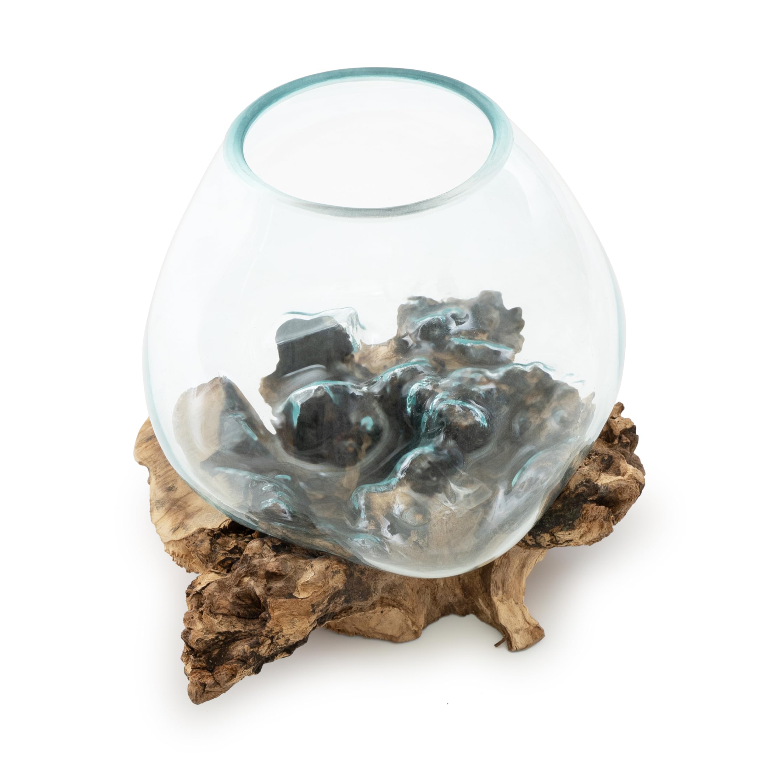 BAGUS Home DCOR Glass Aquarium on Natural Driftwood - Elegant Handcrafted Tabletop Decor with Elevated Design Perfect for Home & Office (Large)