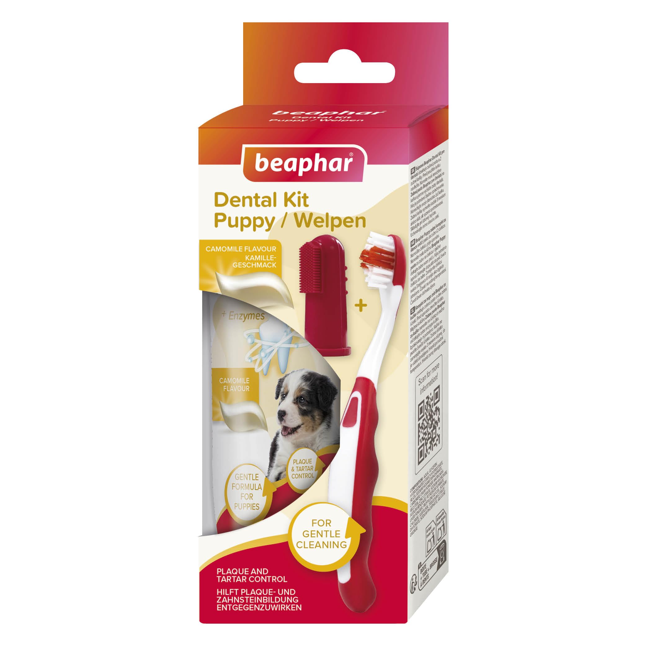 BEAPHAR - Dental Care Set for Puppies - With Liver Flavour - Toothbrush, Finger Toothbrush and Toothpaste - Set of 2 Toothbrushes + 50 g Toothpaste