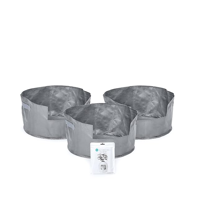 Foto 2 de 8 de Bundle & Bliss Secret Litter Box