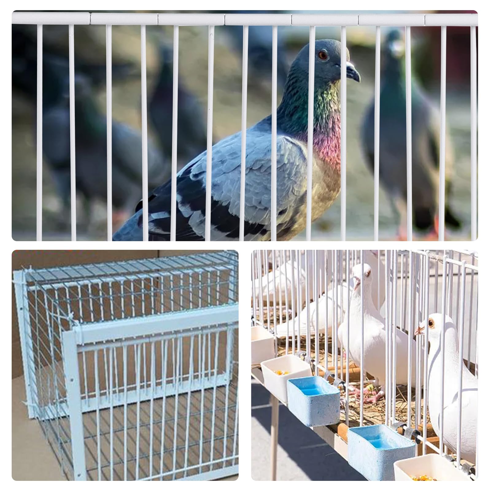 Vogelkäfigtür 40 cm für Taubeneingang Nur Einwege-Eingang Dachboden Aktiv Vogelkäfig Vögel Fenster Vogelstalltür für Renntauben Tauben Papageien