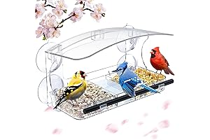 Window Bird Feeder with Strong Suction Cups