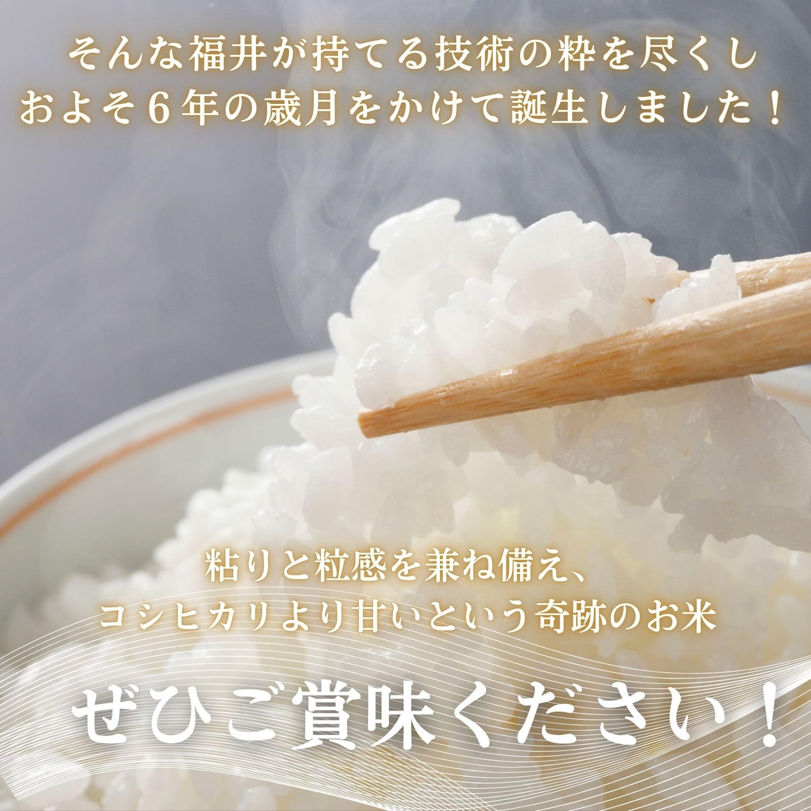 Amazon.co.jp: 米 15kg 5kg×3袋 いちほまれ 福井県産 白米 令和7年産