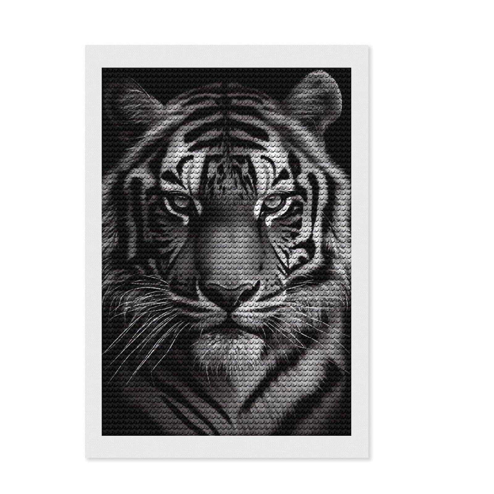 Junmoney Tiger Drawing Diamond Art Kit 8"x12", Christmas Gift, for Beginners, Easy Handmade Project, Bedroom Decor, Stress Relief Craft