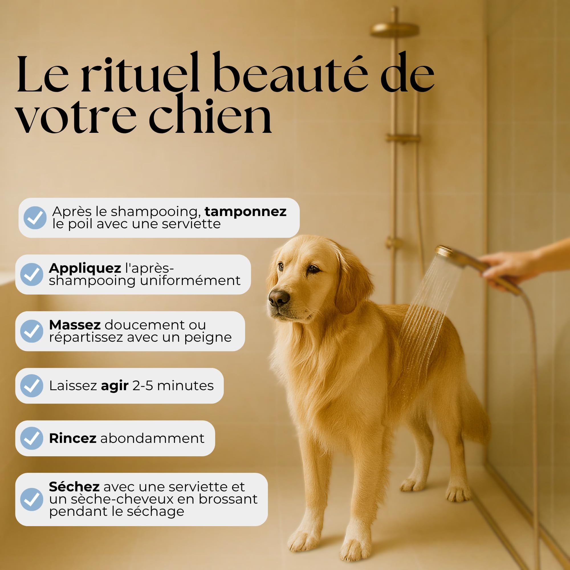 Baume pour Chiens 250ml – ASSOPET – Après-Shampoing Chien Naturel à l'huile d'Argan Bio et Aloe Vera Bio – Adoucissant, Démêlant et Brillant – Sûr, Doux, Vegan, Made in Italy