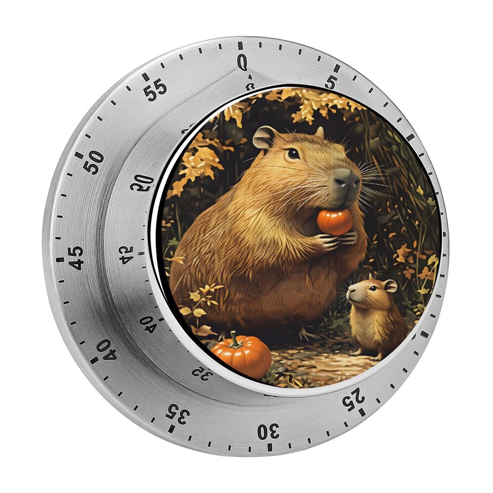 Capybara 60 Minute Wind Up Timer,Visual Mechanical Magnetic Timer with Loud Alarm for Kitchen