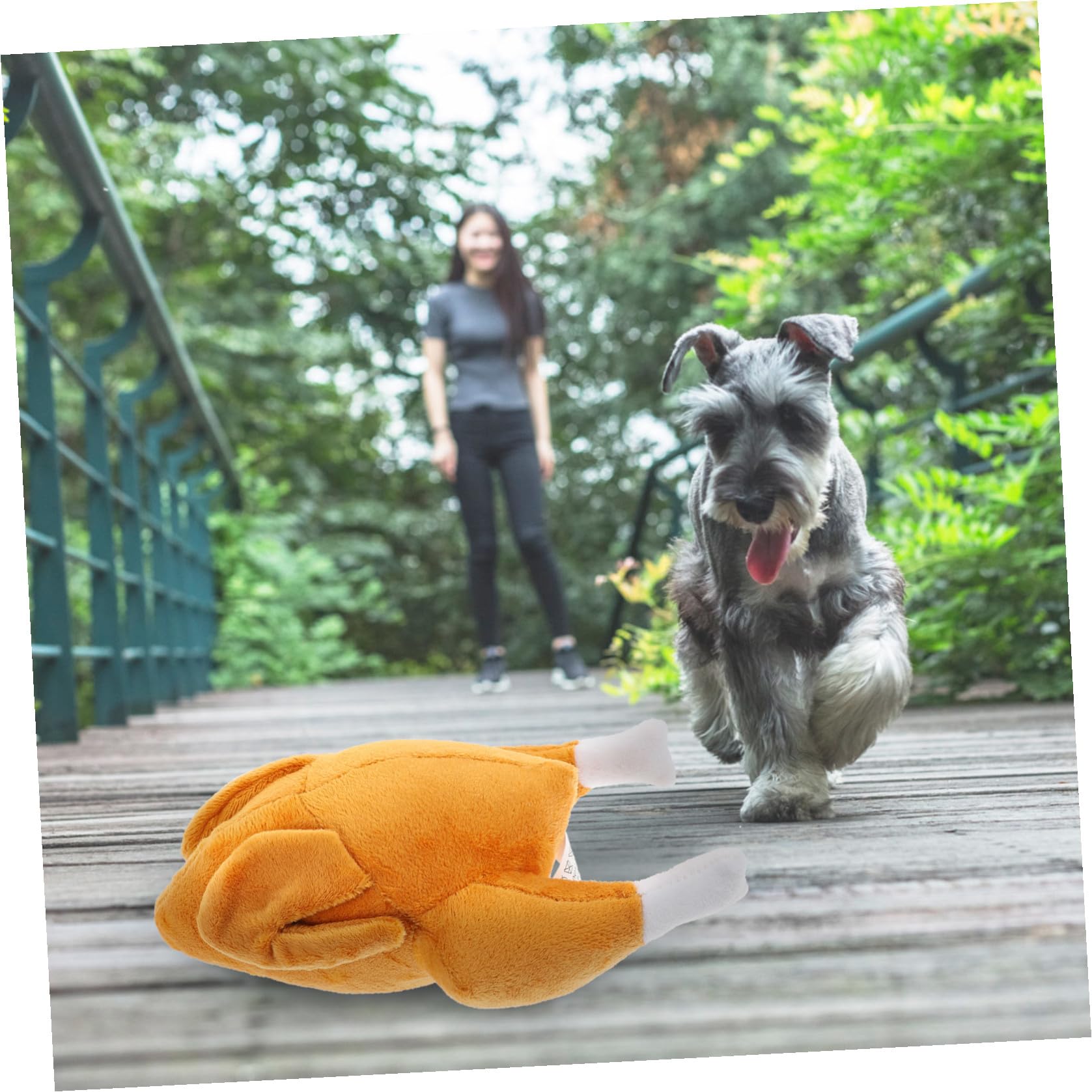minkissy 3stücke Squeaky Spielzeug Für Hunde Interaktives Kauspielzeug Aus Hautfreundlichem Material Für Outdoor-Training Und Schnüffelspiele Fördert Bewegung Und Sorgt Für Gesunde