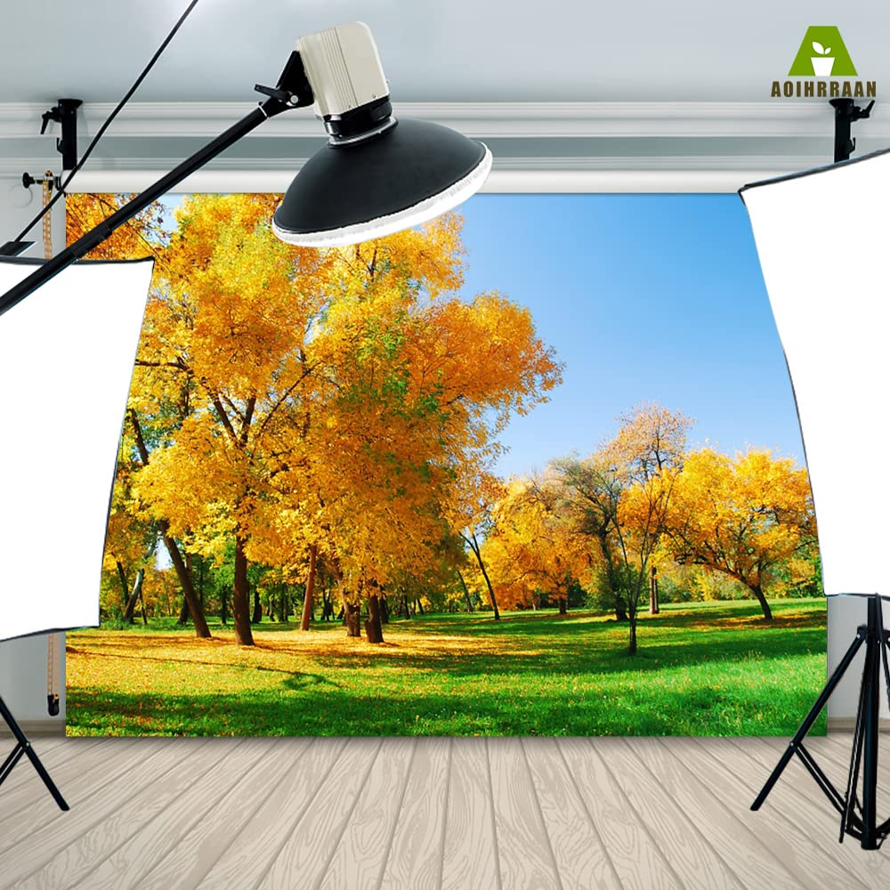 Toile De Fond Photographie Automne Forêt 1,8x2,7m - Jaune Or Érable Feuilles Bois Chemin