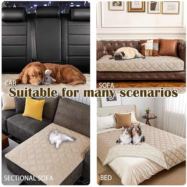 Foto 3 de 7 de BLGVGKLPNT Manta Impermeable para Perros, sofá o Mascotas, Antideslizante, protección para Muebles, Lavable