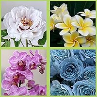 Vista 6 de ZiXiang Molde de silicona para veteado de flores de goma para fondant, moldes de pasta de goma, molde de flores de peonía, moldes de orquídea