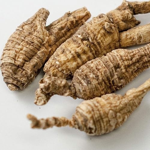 Miniatura 5 de Wild Pearl Original Tail - Raíz de ginseng americano salvaje