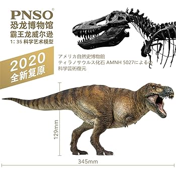 Amazon.co.jp: PNSO 恐竜博物館 1/35 サイズ ティラノサウルス T