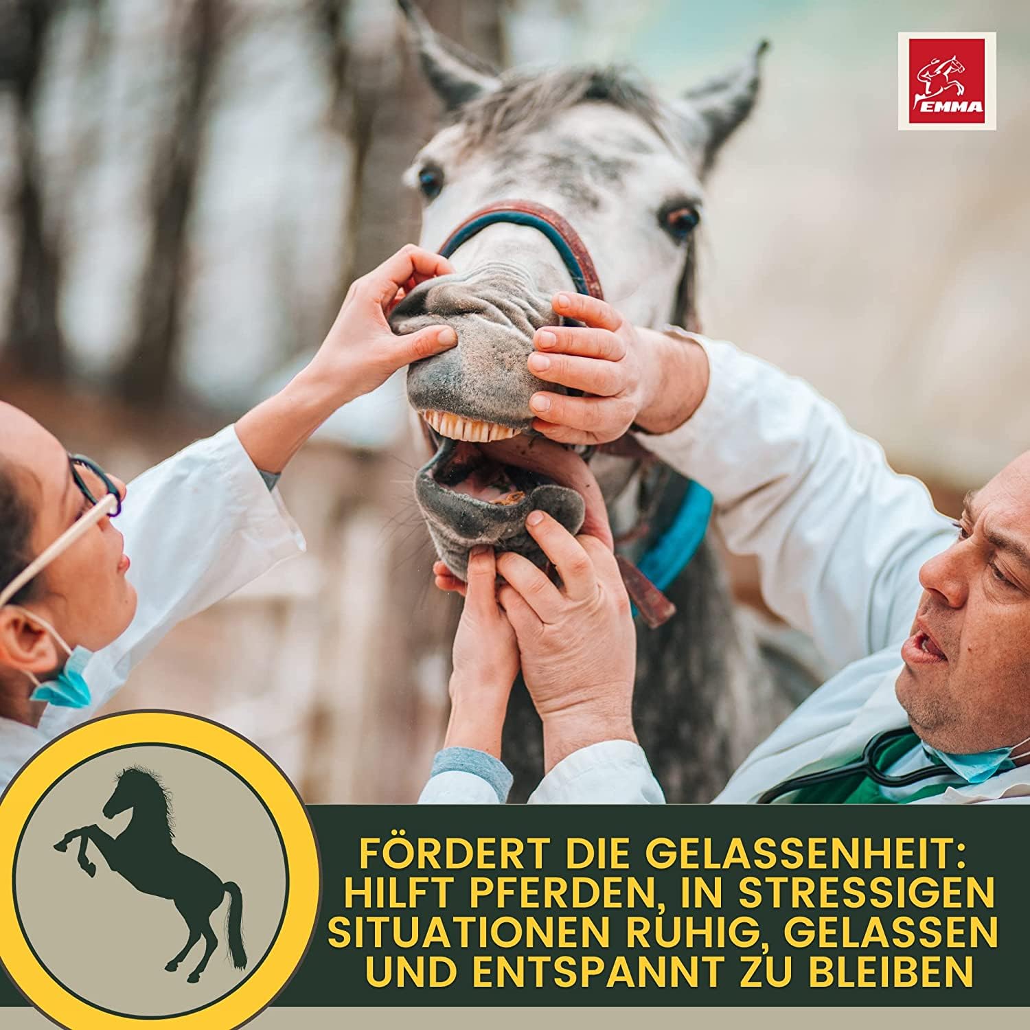 EMMA Magnesium Pferd Paste 4×30ml Calm Relax Booster mit L-Tryptophan & Vitamin B12 I Beruhigung Pferd bei Stress, Angst, Transport & Turnier I Anti-Stress Nervenpaste für nervöse Pferde & Ponys