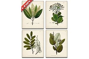 Botanical Wall Art Decor | Vintage Botanical Wall Prints