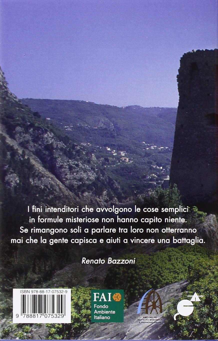 Tutta questa bellezza