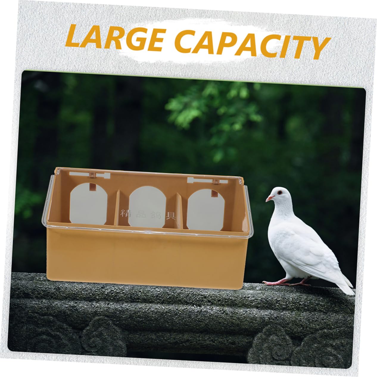 Sosoport Où Deux Trous Mangeoire À Pigeons Cage Tasses Mangeoire À Poulet Abreuvoir À Oiseaux pour Cage À Oiseaux Récipient De Stockage De Nourriture pour