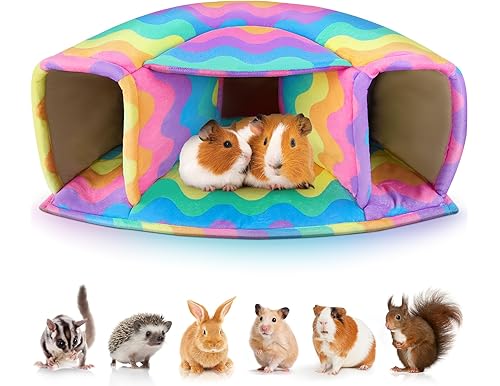 Top Picks for Guinea Pig Products to Pamper Your Furry Friend