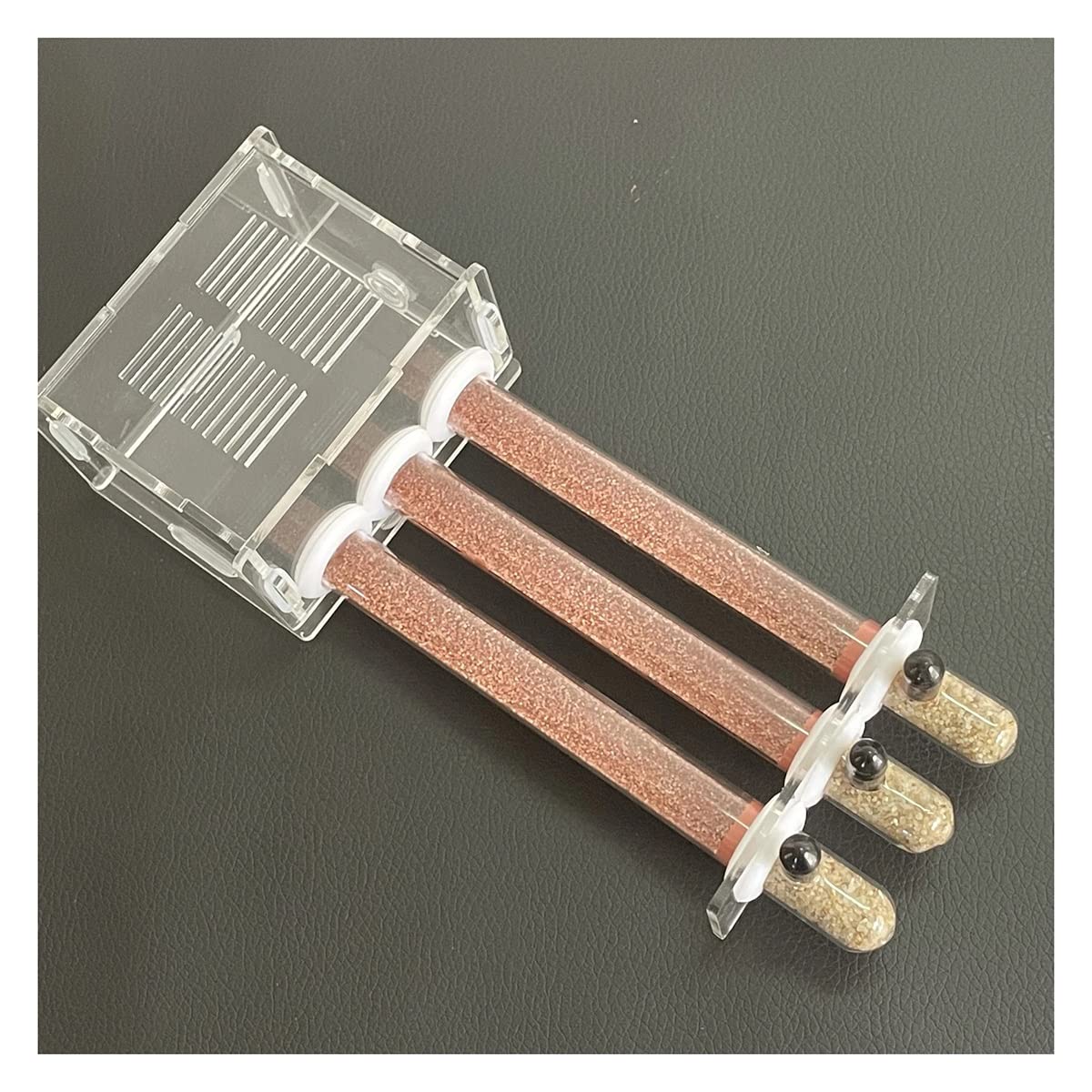 Ameisenformikarium, DIY Acryl Ameisennest 15mm Bambus Reagenzglas Ameise. Formicarium Moisturiz(C)