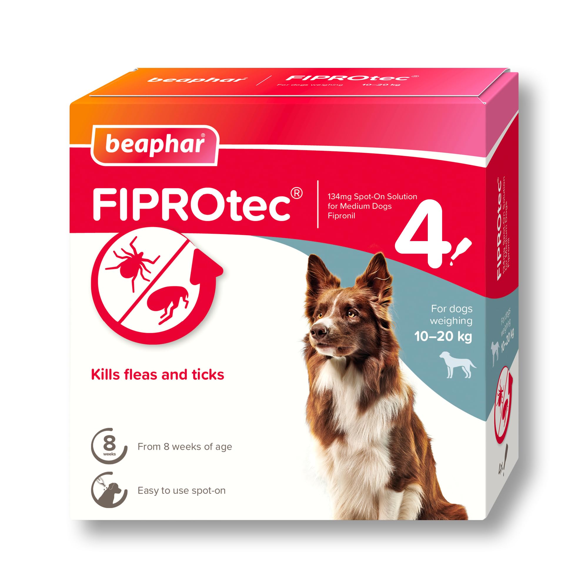 FIPROtec Spot-On Flea & Tick Treatment for Medium Dogs 10-20kg - 4 Pipettes - Kills Fleas & Ticks – Veterinary Medicine - Easy to Apply Monthly - Suitable for Dogs & Puppies from 8 Weeks