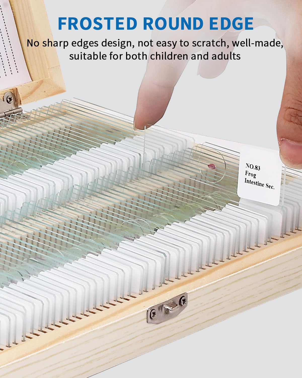 140 portaobjetos de microscopio con especímenes, portaobjetos de vidrio prefabricados con muestras, portaobjetos educativos y cubiertas de microscopio para jóvenes científicos, perfectas para clases