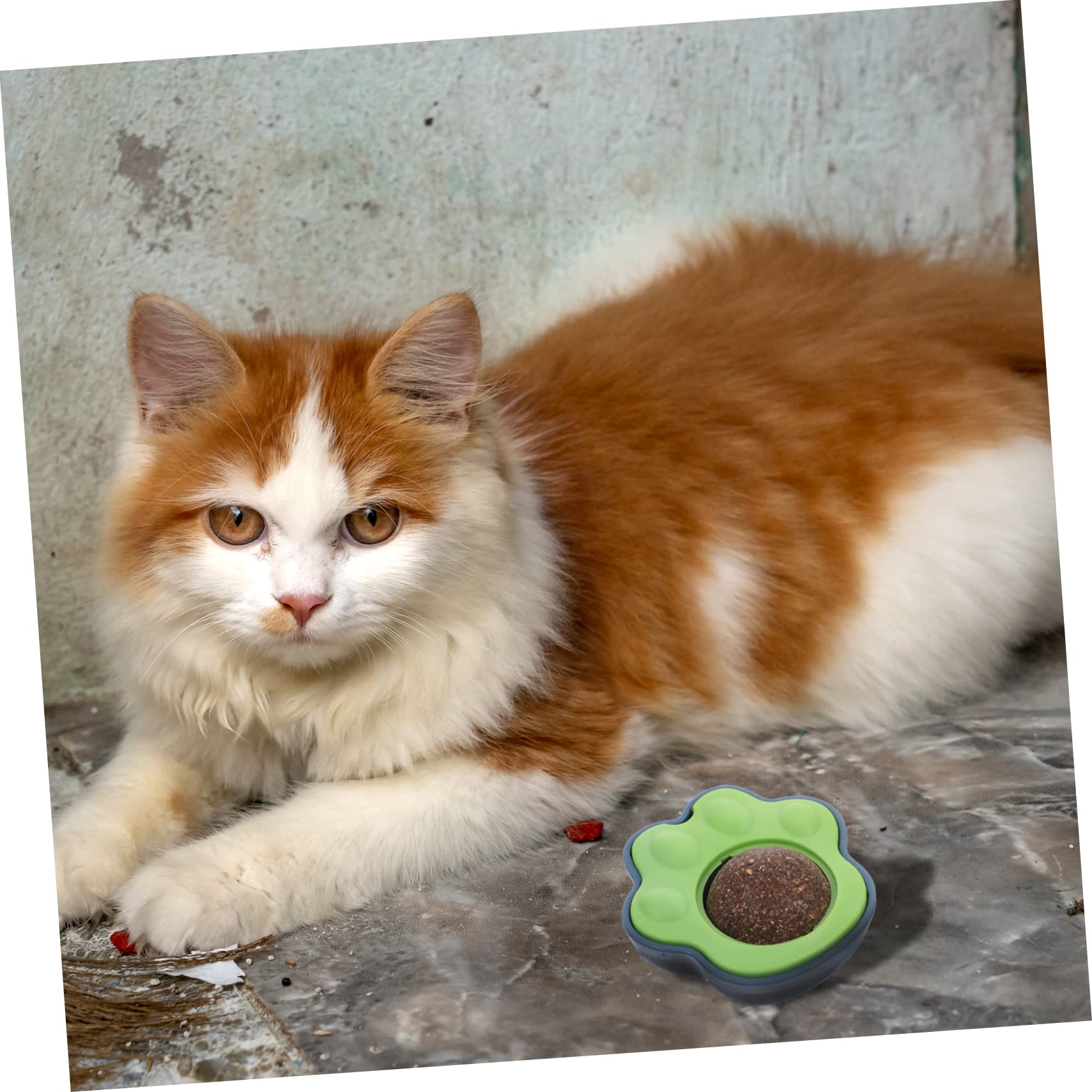Yardwe 10 Juegos De Huellas De Gatera para Gatos De Gatera Juguete para Mascotas Juguete para Morder Gatito Juguete para para La Montaje