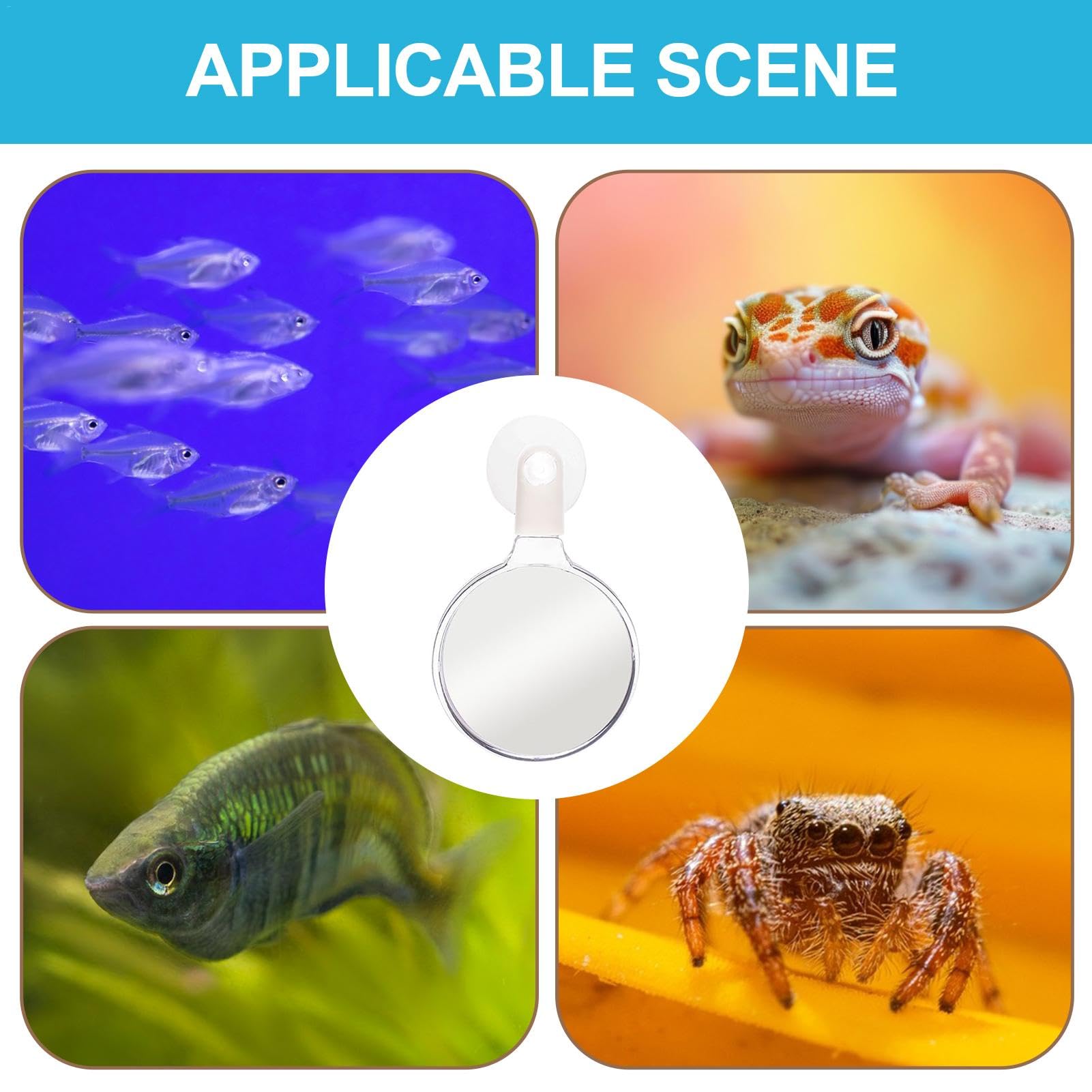 Aquarium Vergrootglas Viewer - Acryl Fish Tank Vergrootglas, Vergrootglas Fish Tank Viewer Plant Observatie Voor Bekijken Koraal