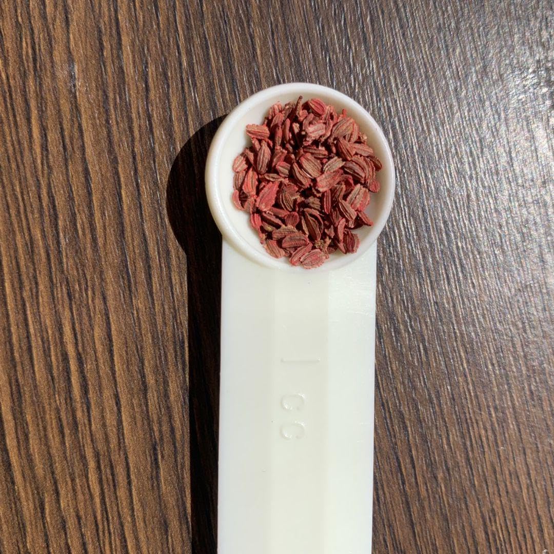 Amazon.co.jp: アロマレッド 種 人参 タネ ニンジン 200粒程度 : DIY