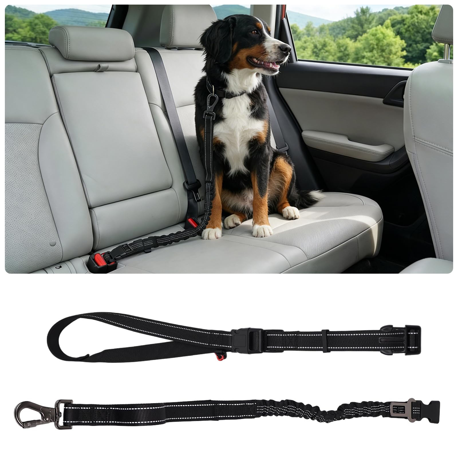 Correa para perros manos libres para hombro y cuerpo (1,4 – 1,95 m) con cómodas asas dobles y mosquetón de seguridad ajustable – perfecto para perros medianos y grandes coches. Ideal para senderismo y