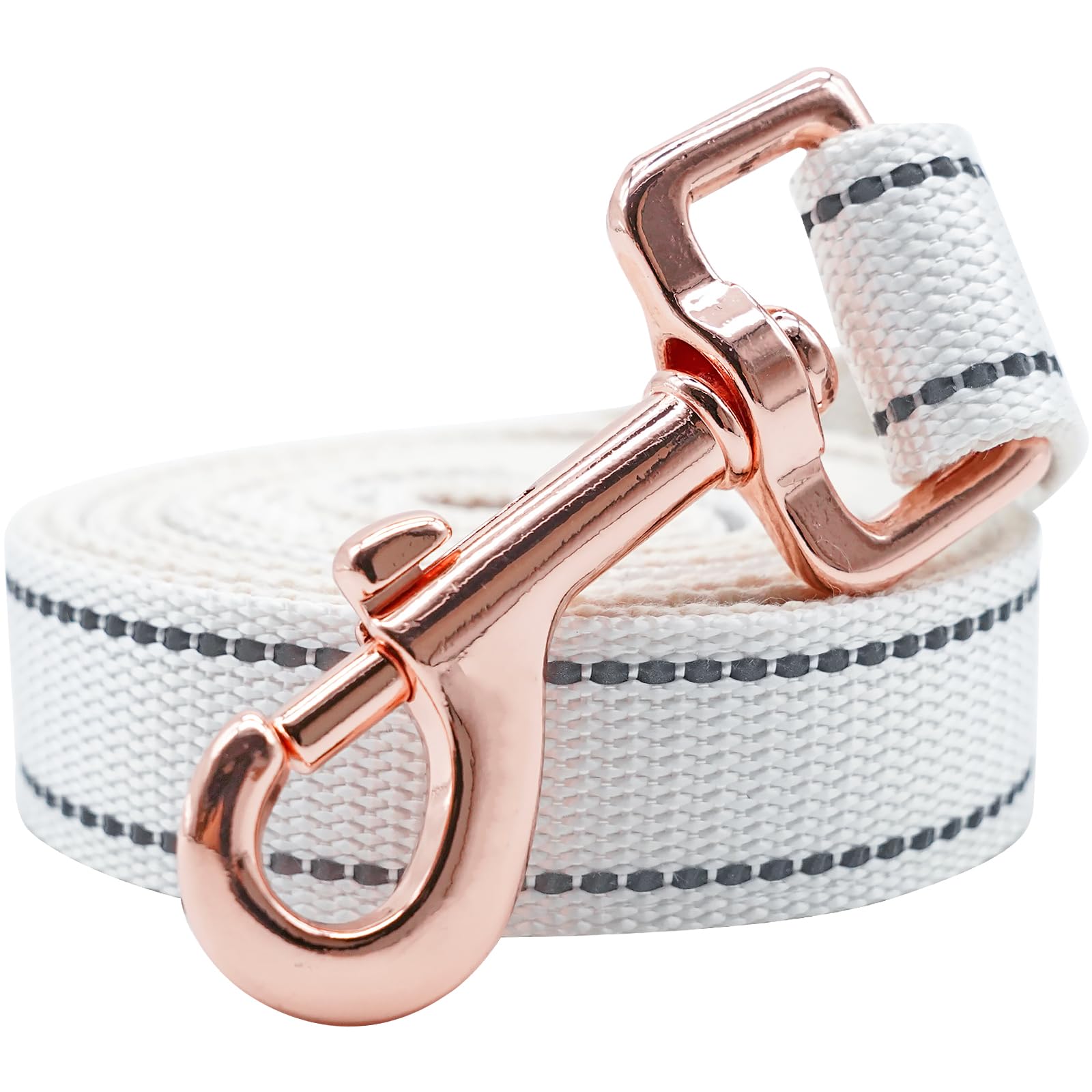 Lionheart Glory Reflective Adjustable Durable Soft Classic Leash for Small Dogs, Puppies - White