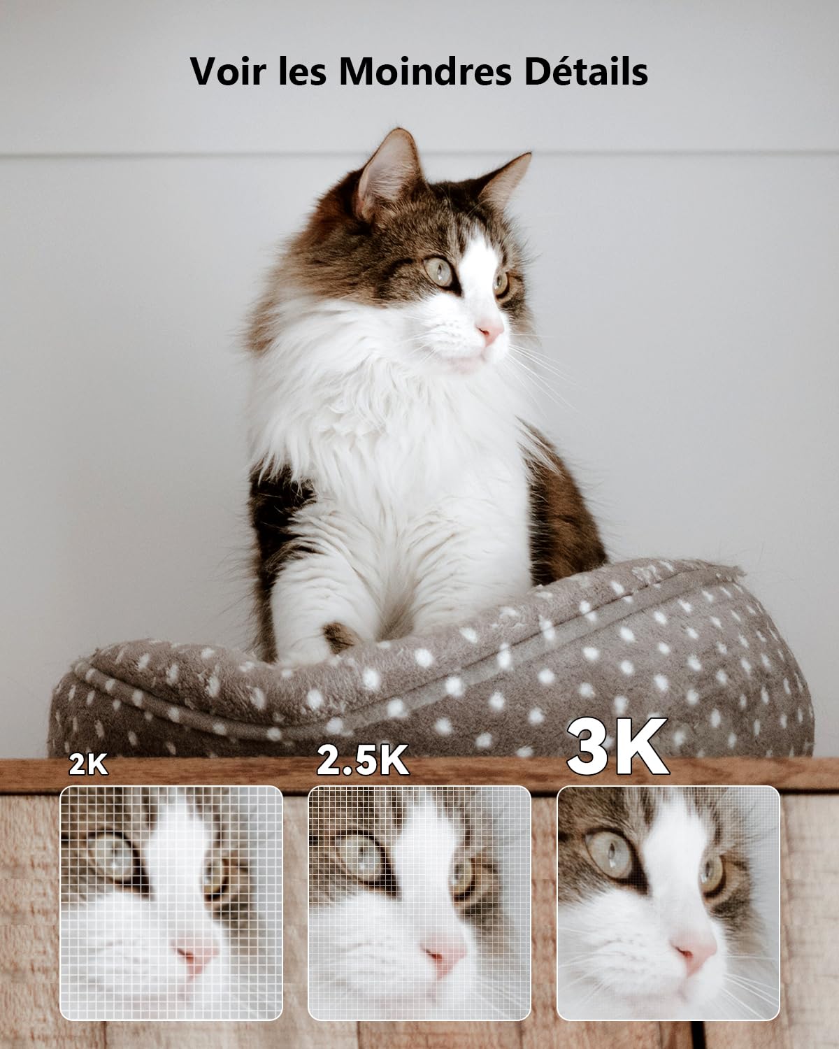 Imou Caméra Surveillance WiFi Intérieure 3K(5MP) Caméra 360° Connectée Smartphone avec Détection Humaine AI Suivi Intelligent Sirène Audio Bidirectionnel Compatible Alexa pour Bébé/Animaux
