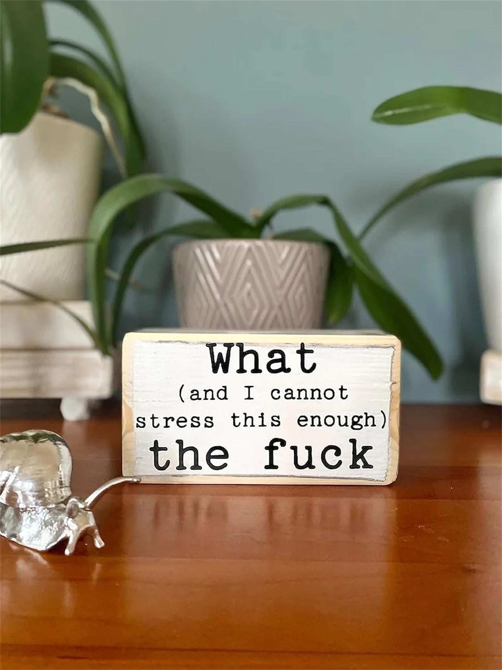 Fun Slogan Decoration Unique And Creative Design, Desk Decorations, Funny Office Desk Wood Sign, Wooden Block Shelf Ornaments What (You Did Not Wake Up Today To Be Weak Ass B*Tch)