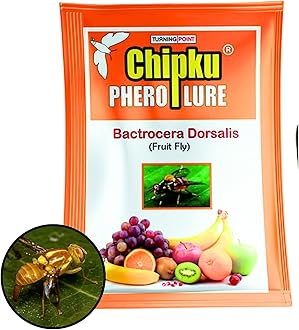 Chipku Fruit Fly Lure Pack of 25 for Fruit Fly Insect Trap for Agriculture for Bactocera Dorsalis Pheromone Lure for Mango Tree,Papaya, Guava,Chiku,Citrus, All Fruit Crops
