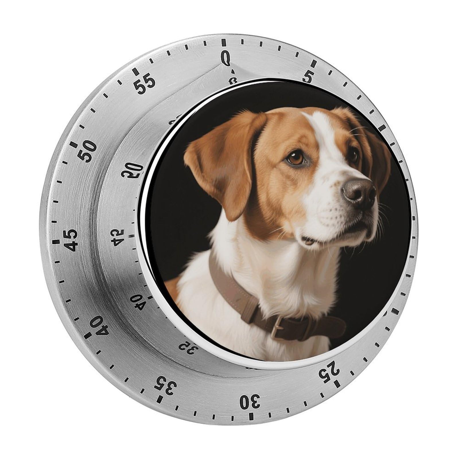 Dog Timer Digital Stainless Steel Kitchen Timers with Loud Alarm Visual Timers Magnetic Countdown Countup Timer for Homework Chores Office Time Management