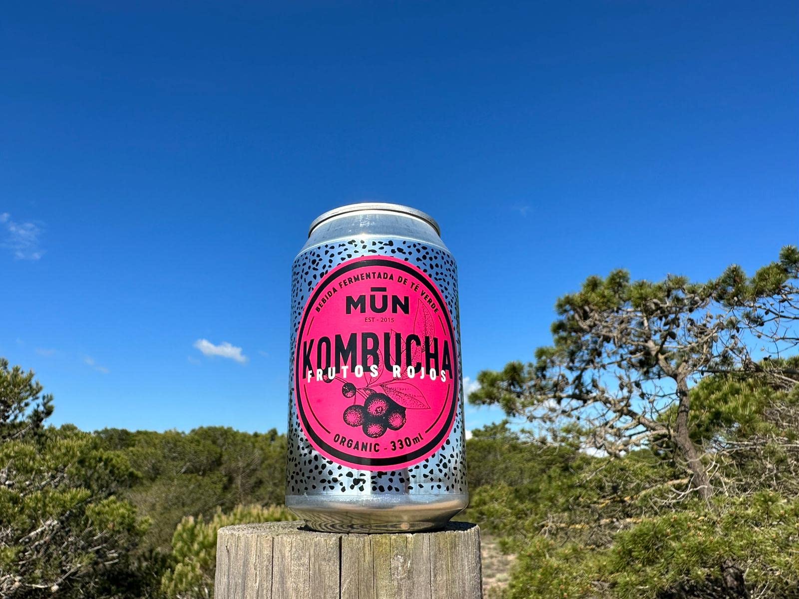 Mūn Ferments Té Kombucha Pack 12x330ml - Bebida Ecológica Con Probióticos - Té Kombucha Jengibre Y Limón-Sin Azúcar Y Baja En Calorías-Latas Libres De BPA-Infusión Fermentada Artesanal-Libre De Gluten