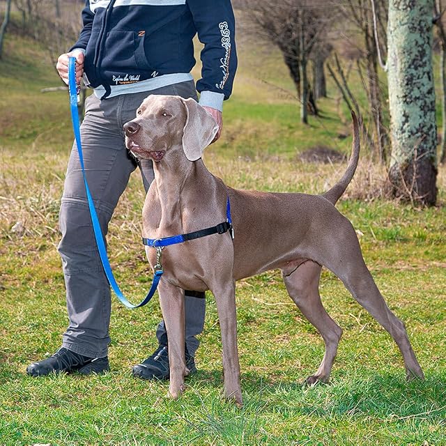 Foto 2 de 3 de Ferplast Arnés Perro Mediano Coach, Arnés de Adiestramientarnes Perro Sin Tirones Durante los Paseos