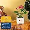 Product Photo 5