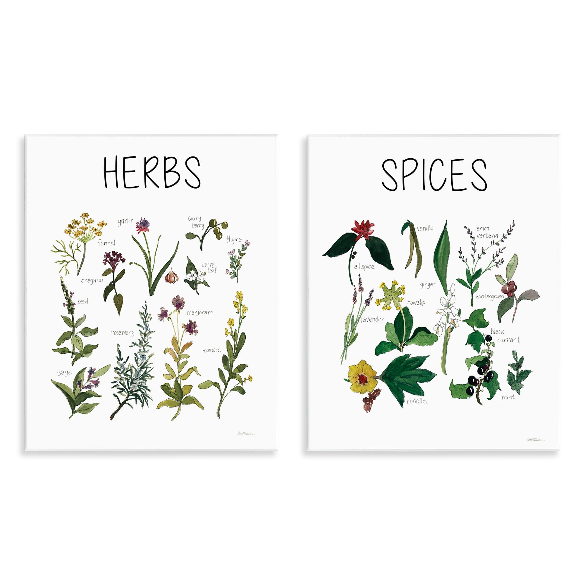 Stupell Industries 'Culinary Herbs & Spices', 2pc Wall Plaque Art Set, 11 x 14 Inches, Easy to Hang and Sturdy, Made in USA, by Carol Robinson